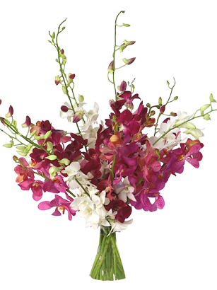 Touch of Zen - Assorted Orchids Bouquet - Enjoy the serenity of this special bouquet of orchids. When you buy orchids from Beyond Blossoms our beautiful arrangements feature the calming nature of Dendrobium orchids with soothing assorted colors. 
Did you know there are over 25,000 kinds of orchids? When you send orchids, youre showing someone how deeply you care by sending such a special gift. Buy orchids from Beyond Blossoms and well a beautiful arrangement of Dendrobium orchids for that special touch. The assorted colors will soothe your heart and show your love.

Order orchids by 1:00 EST for FedEx next day delivery Tuesday-Saturday. Elegant vases and other special items are available during checkout. Overnight delivery Tuesday - Friday is $10.99, Saturday is $19.99. 


Satisfaction with your orchids is guaranteed. All of our orchids are shipped farm fresh. Your flowers come budding, and ready to make someone smile.<br><br>Code:10067-6043-10067-0000082876